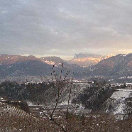 Gfillhof Ferienwohnung 1 Appiano Sulla Strada Del Vino Dış mekan fotoğraf
