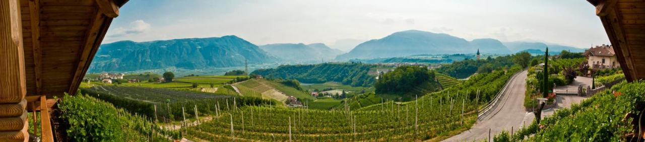 Gfillhof Ferienwohnung 1 Appiano Sulla Strada Del Vino Dış mekan fotoğraf