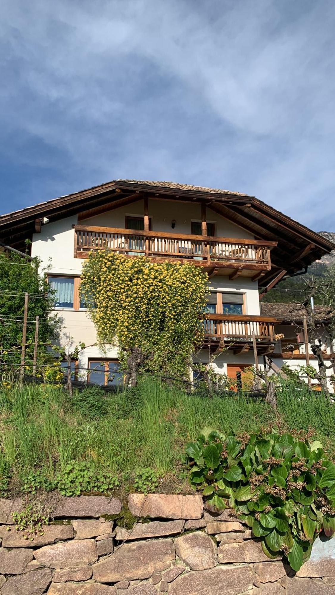 Gfillhof Ferienwohnung 1 Appiano Sulla Strada Del Vino Dış mekan fotoğraf